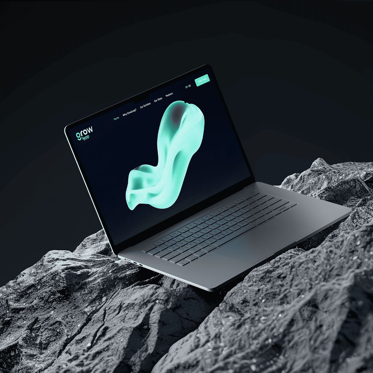 Portfolio Image